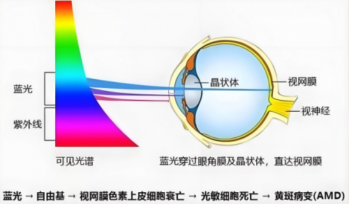 如何兼顾画质和护眼?海信激光电视给出了答案